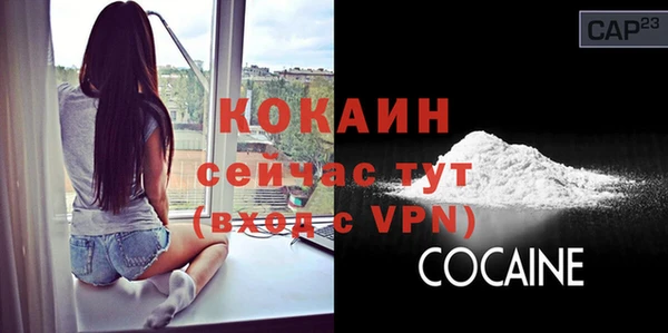 прущие грибы Киреевск