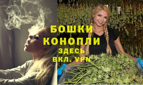ALPHA PVP Кинешма