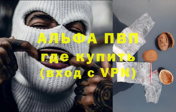 прущие грибы Киреевск