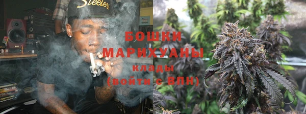 прущие грибы Киреевск
