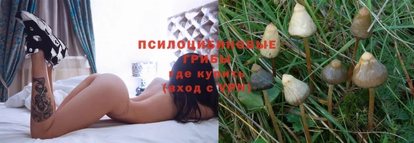 бошки Киренск
