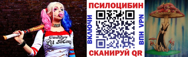 blacksprut как зайти  Курильск  Псилоцибиновые грибы Magic Shrooms 